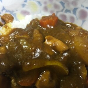 キャンプはカレー！親鶏と新玉ねぎとごぼうのカレー